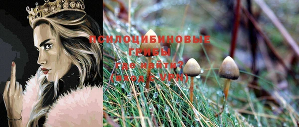 кокс Аркадак