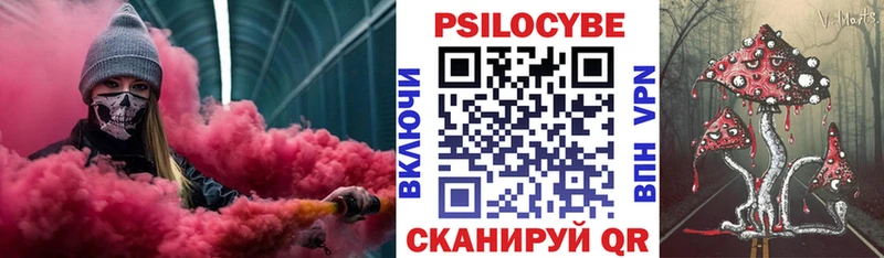 купить наркоту  Почеп  Галлюциногенные грибы прущие грибы 